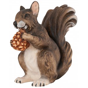 4333 - Squirrel