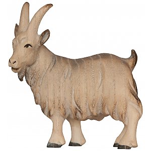 1831E - Goat