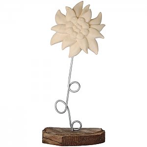 KD0985M - Edelweiss with wire caulis
