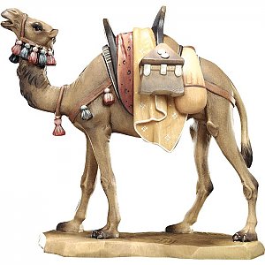 KD150020 - Camel