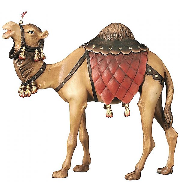 2270 - Camello COLOR