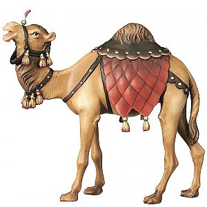 2270 - Camello