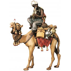 2272 - Camello con bagaglio e Cammelliere seduto