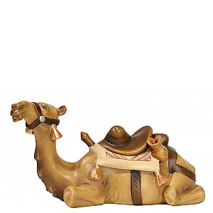 2976 - Camello sdraiato