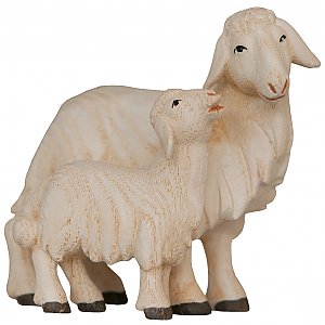 1855E - Pecora con agnello